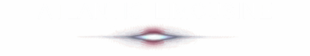 Limousine Nantes, logo